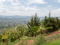 G45A0378 : Exodus2014