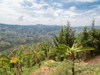 G45A0382 : Exodus2014