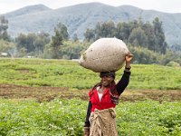 G45A0404 : Exodus2014