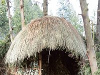 G45A0437 : Exodus2014