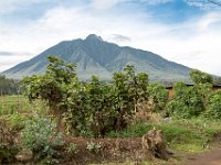 G45A0440 : Exodus2014