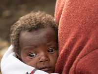 G45A0485 : Exodus2014