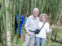 G45A0540 : Exodus2014