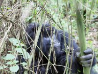 G45A0548 : Exodus2014