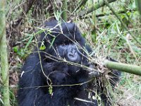 G45A0564 : Exodus2014