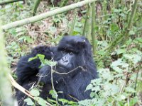 G45A0577 : Exodus2014