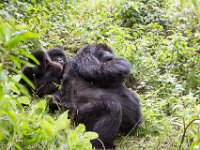 G45A0587 : Exodus2014