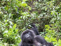 G45A0593 : Exodus2014