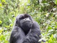 G45A0613 : Exodus2014