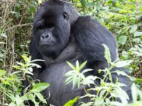 G45A0637 : Exodus2014