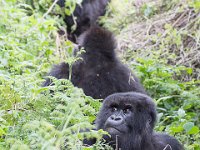 G45A0651 : Exodus2014