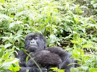 G45A0663 : Exodus2014