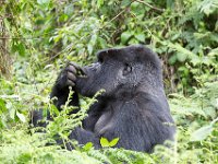 G45A0669 : Exodus2014