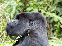 G45A0673 : Exodus2014