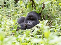 G45A0683 : Exodus2014