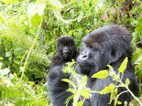 G45A0690 : Exodus2014