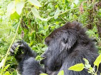 G45A0692 : Exodus2014