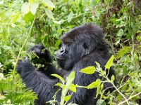 G45A0694 : Exodus2014