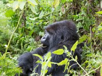 G45A0700 : Exodus2014