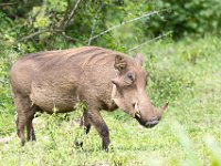 G45A0829 : Exodus2014