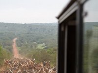 G45A0883 : Exodus2014