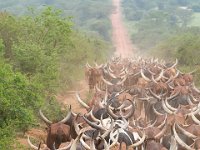 G45A0884 : Exodus2014