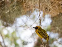 G45A1015 : Exodus2014