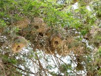 G45A1018 : Exodus2014