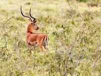 G45A1029 : Exodus2014