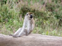 G45A1030 : Exodus2014