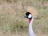 G45A1062 : Exodus2014