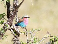 G45A1081 : Exodus2014