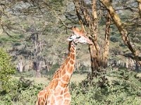 G45A1121 : Exodus2014