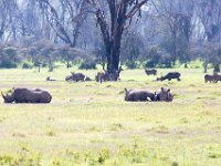 G45A1150 : Exodus2014