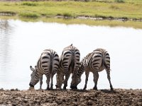 G45A1158 : Exodus2014