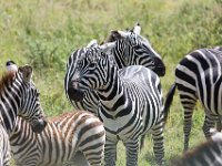 G45A1162 : Exodus2014