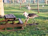 G45A1206 : Exodus2014