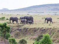 G45A1254 : Exodus2014