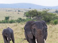 G45A1258 : Exodus2014