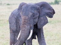 G45A1265 : Exodus2014