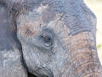 G45A1272 : Exodus2014