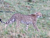 G45A1300 : Exodus2014