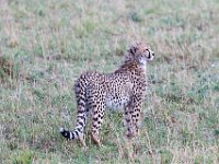 G45A1306 : Exodus2014