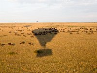 G45A1379 : Exodus2014