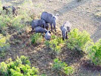 G45A1403 : Exodus2014