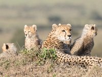 G45A1430 : Exodus2014