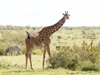 G45A1450 : Exodus2014