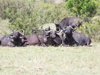 G45A1464 : Exodus2014