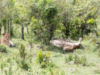 G45A1492 : Exodus2014