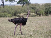 G45A1543 : Exodus2014